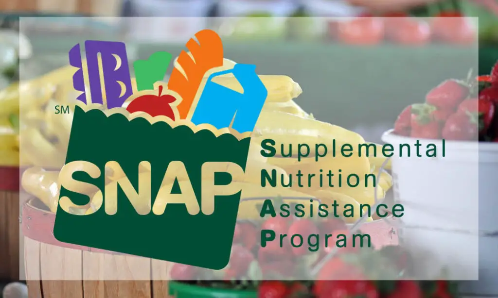 Your Guide to Understanding the Supplemental Nutrition Assistance